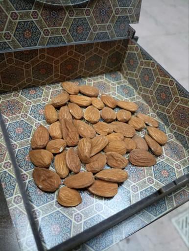 عکس بادرام تجارت توکان