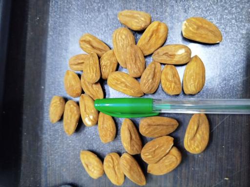 عکس بادرام تجارت توکان