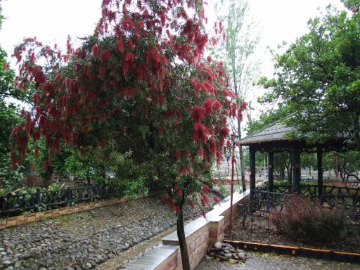 عکس هتل بادله