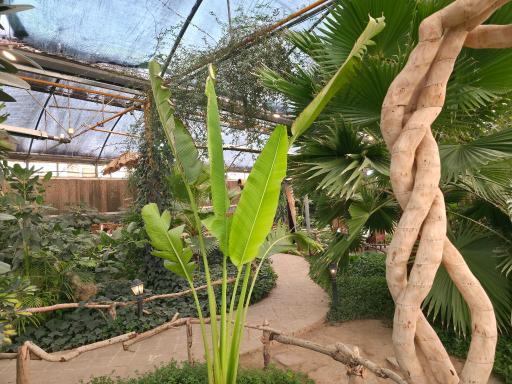 عکس رستوران استوایی اسپیناس