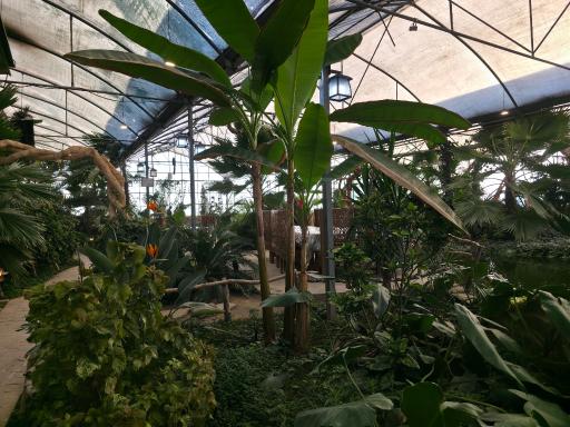 عکس رستوران استوایی اسپیناس