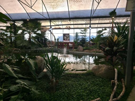 عکس رستوران استوایی اسپیناس