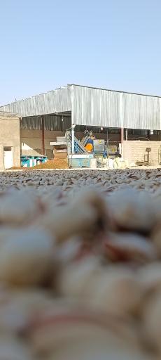 عکس کارگاه و ترمینال ضبط پسته دوستی