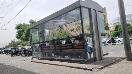 عکس  چمن 2