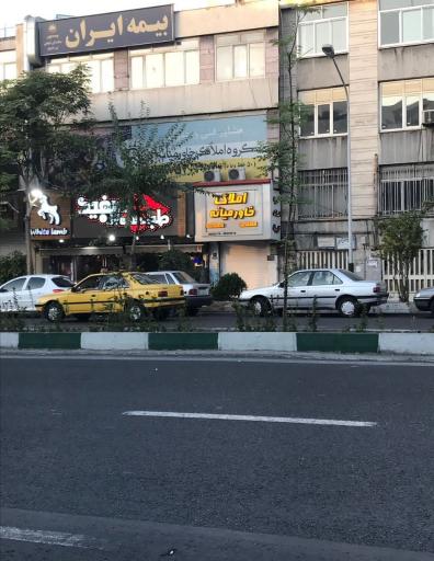 عکس طباخی بره سفید