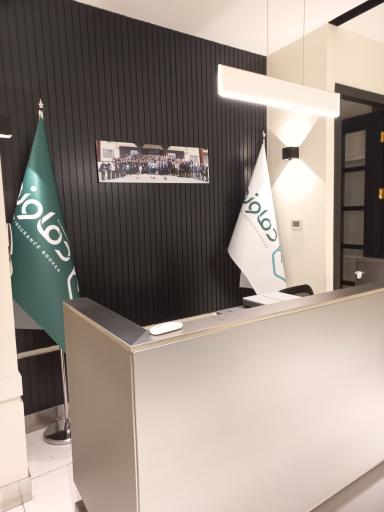 عکس کارگزاری بیمه دماوند 