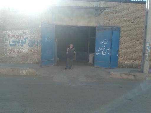 عکس شالی کوبی ساعدی