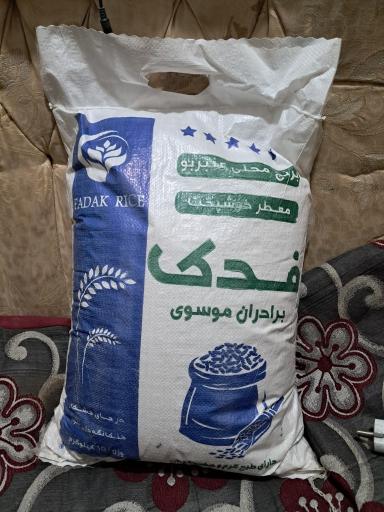 عکس شالی کوبی ساعدی