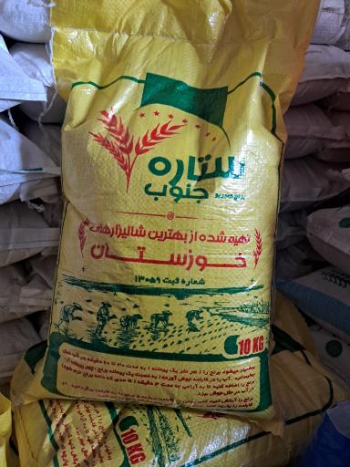 عکس شالی کوبی ساعدی