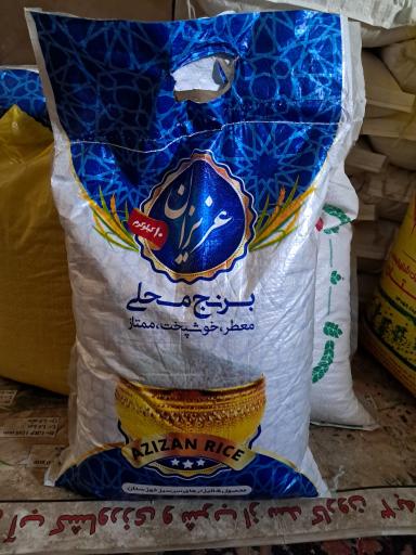 عکس شالی کوبی ساعدی