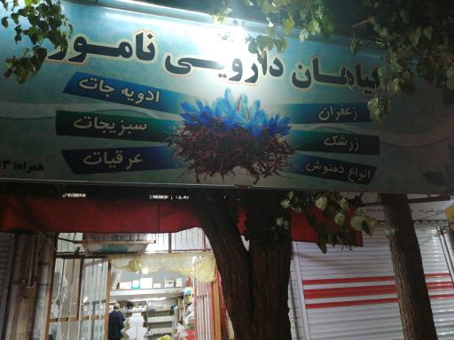 عکس گیاهان دارویی نامور