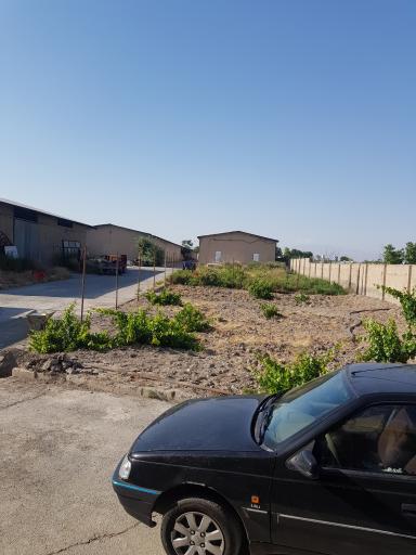 عکس مزرعه قارچ سحاب