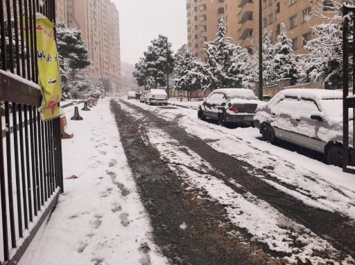 عکس مجتمع نرگس