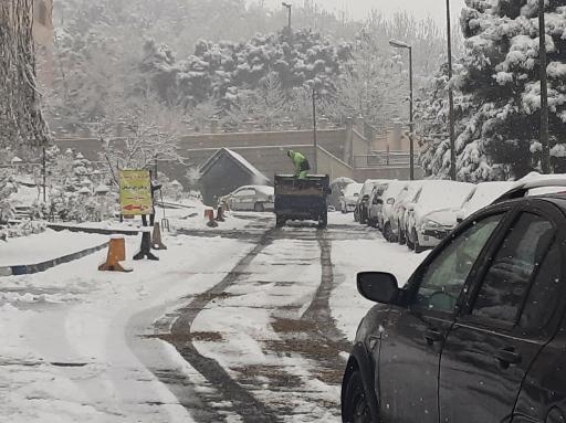 عکس مجتمع نرگس