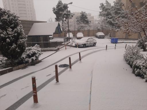 عکس مجتمع نرگس