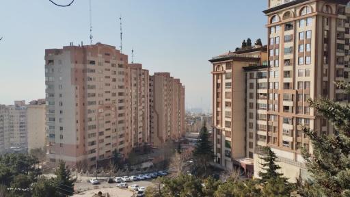 عکس مجتمع نرگس