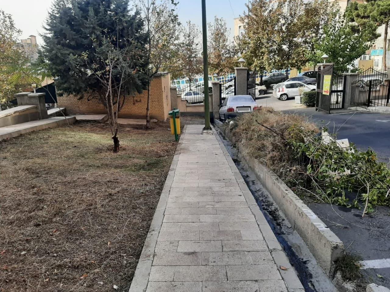 عکس مجتمع نرگس