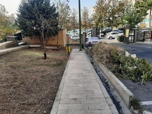 عکس مجتمع نرگس