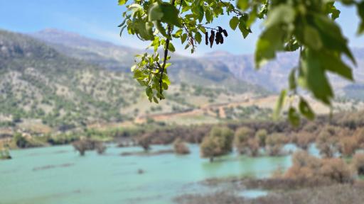 عکس پل نگین شیمبار