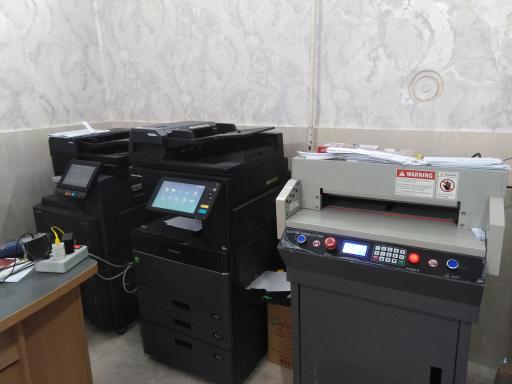 عکس چاپ و تکثیر شوکا