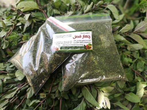 عکس از تولید به مصرف چهار فصل (رحمتی)