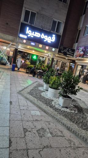 عکس قهوه هیوا