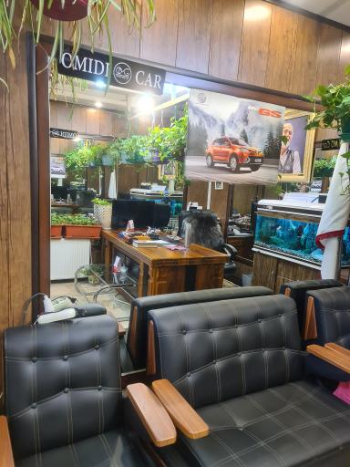 عکس نمایشگاه اتومبیل ام جی امیدی