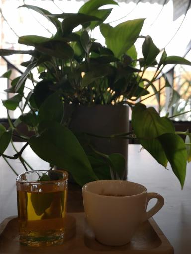 عکس کافه نُوا