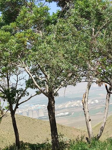 عکس تفرجگاه چپقلی