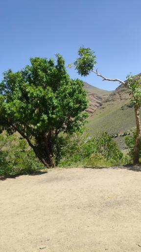 عکس تفرجگاه چپقلی