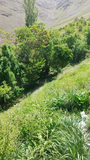 عکس تفرجگاه چپقلی