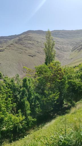 عکس تفرجگاه چپقلی