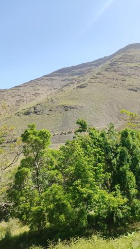 عکس تفرجگاه چپقلی