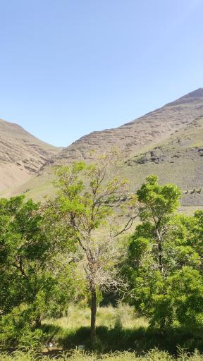 عکس تفرجگاه چپقلی