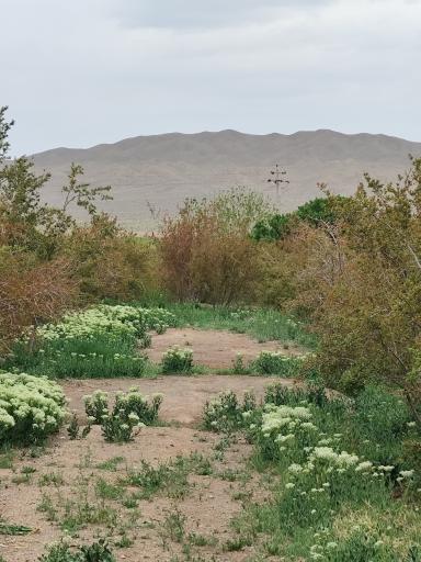 عکس تفرجگاه چپقلی