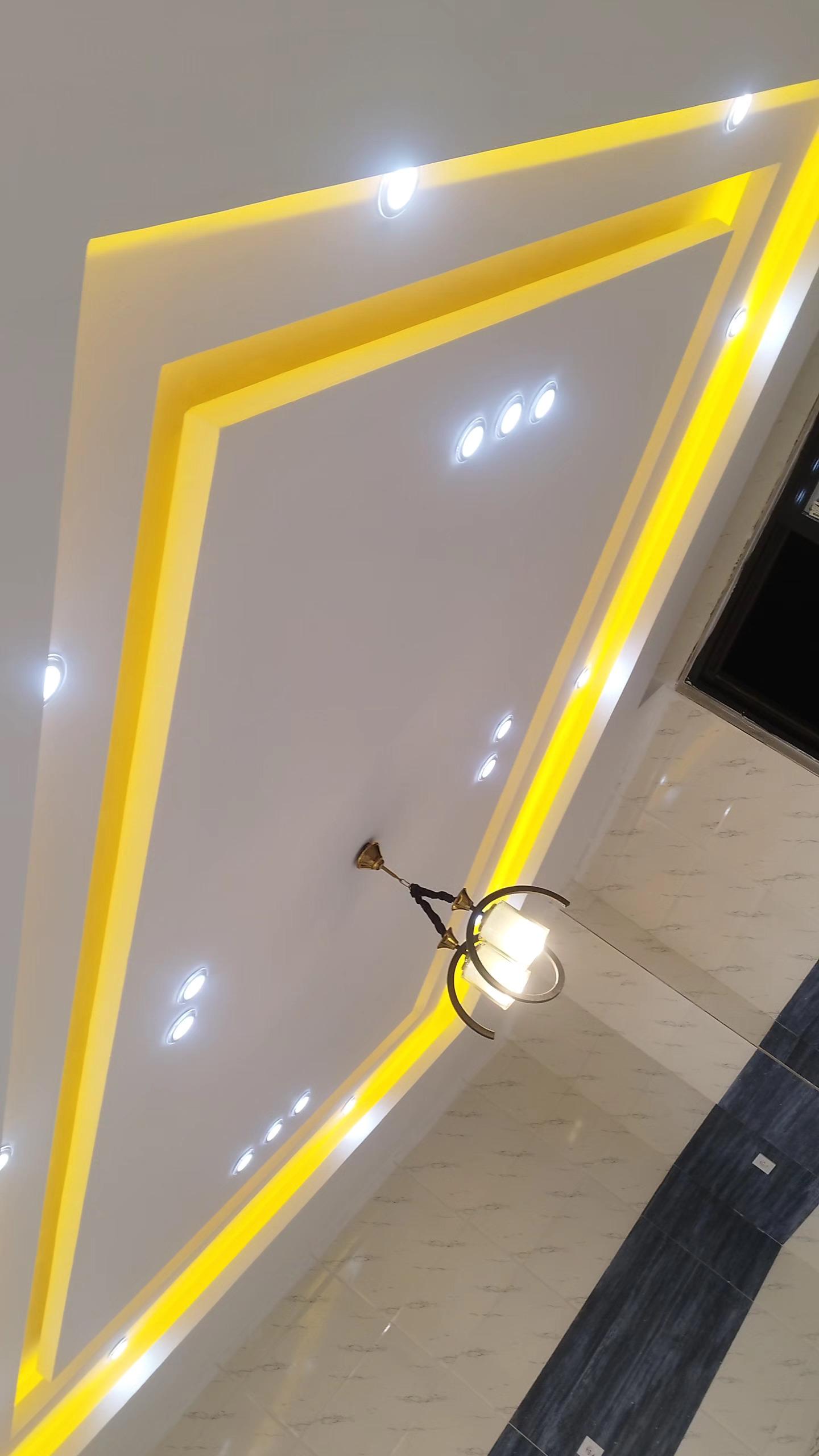 عکس الو برقی