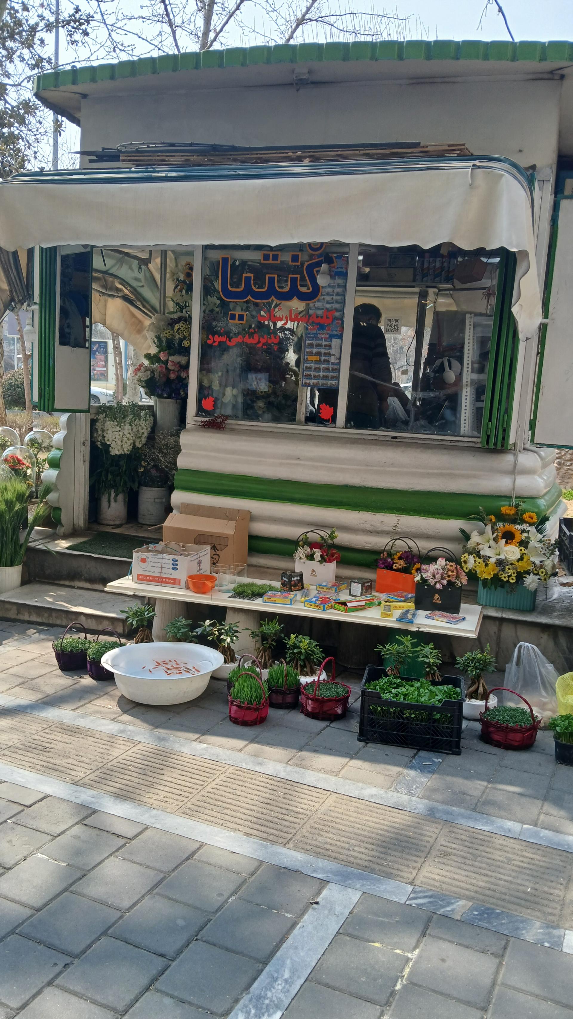 عکس گل فروشی کنتیا