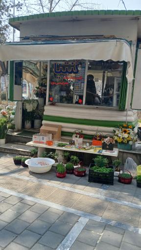 عکس گل فروشی کنتیا