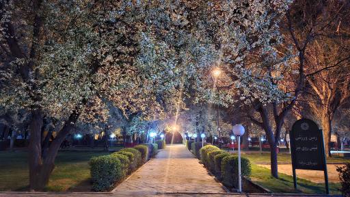 عکس پارک ملت