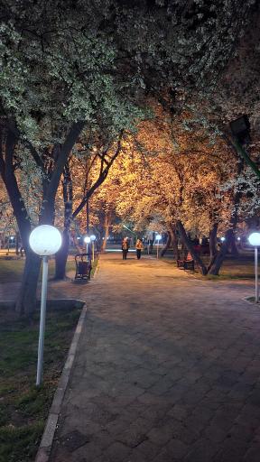 عکس پارک ملت