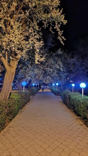 عکس پارک ملت