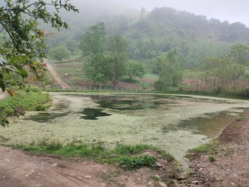 عکس آب بندان