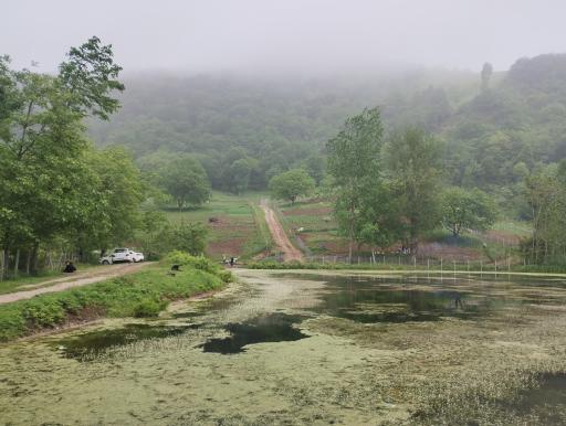 عکس آب بندان