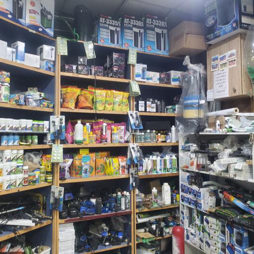 آکواریوم دریا 