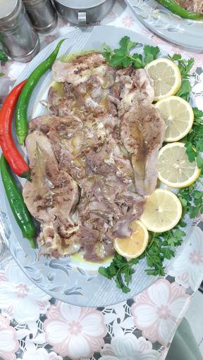 عکس طباخی معین الرضا