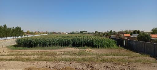 عکس گاوداری شریفی 