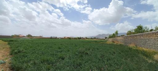 عکس گاوداری شریفی 