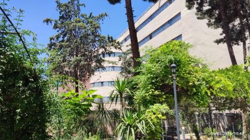 عکس دانشکده فنی شهید شمسی پور