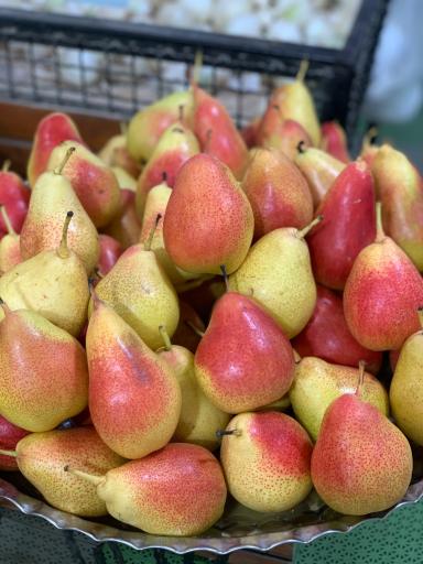 عکس تره بار باغ میوه ساری