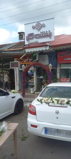 عکس گل فروشی بنفشه گل